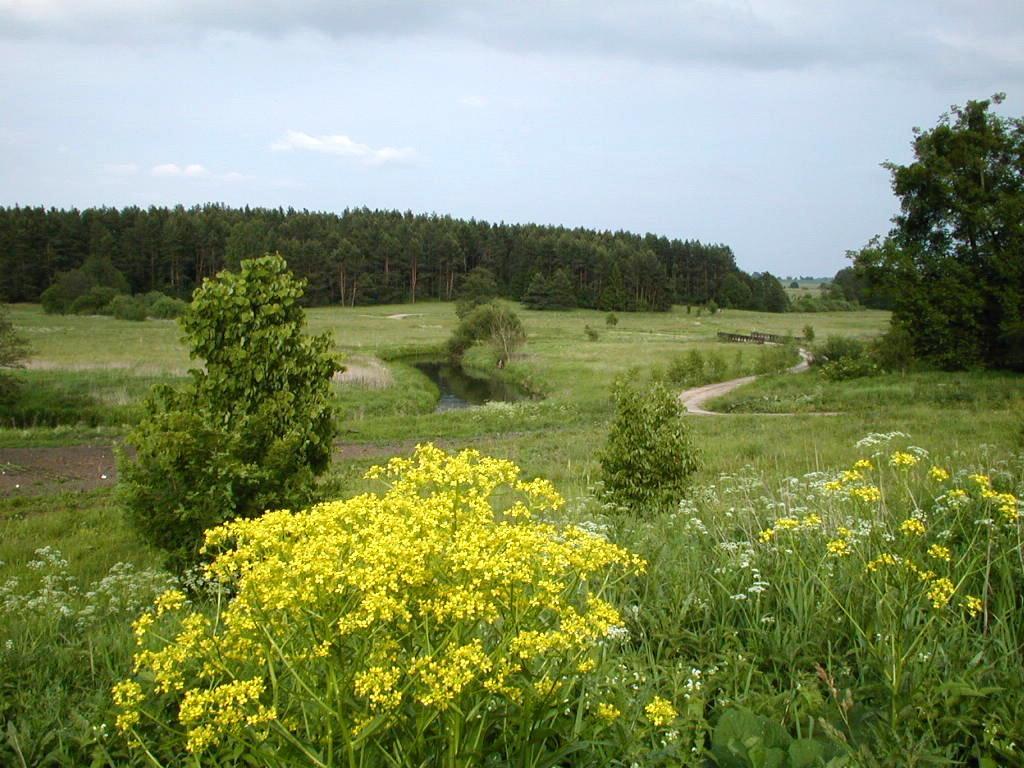 Palac Wojciechy Dış mekan fotoğraf